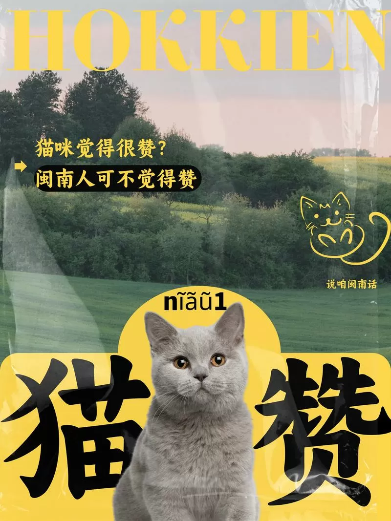 老款猫赞和新款猫赞哪个好
