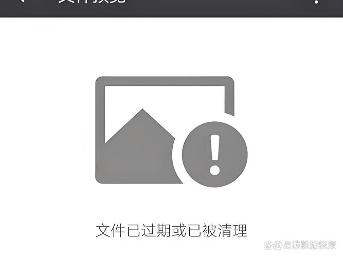 微信未下载文件过期能恢复吗截图