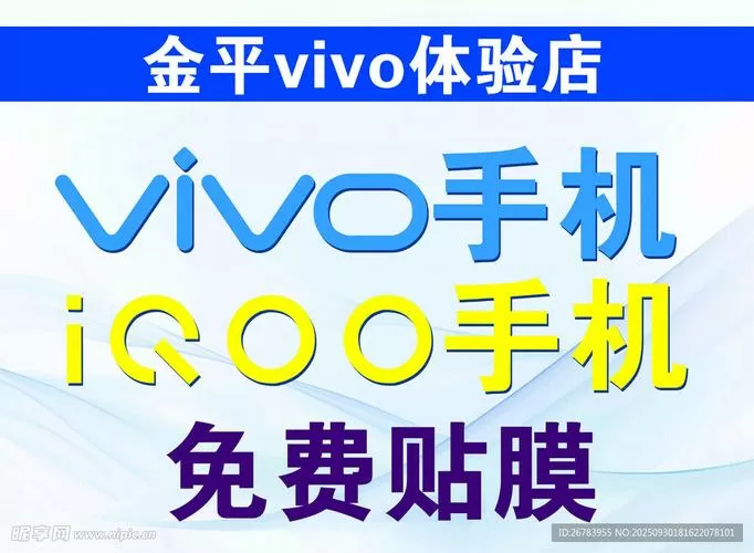 vivo贴膜