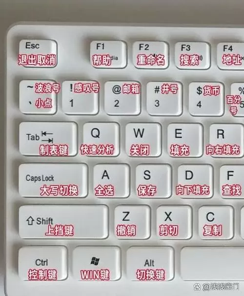 键盘1到9不能用了