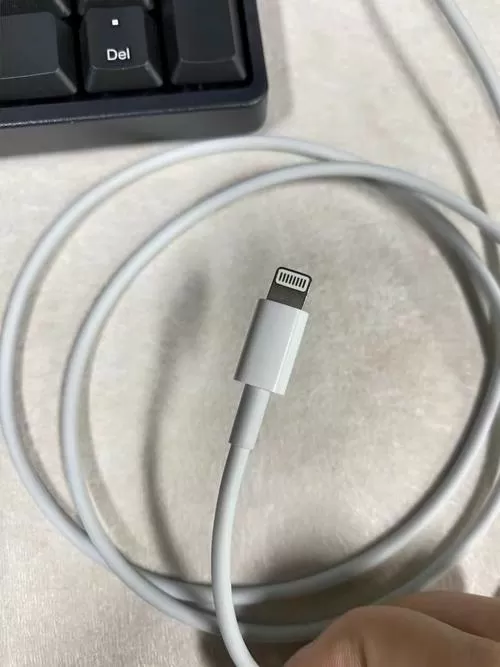 11能拿普通充电器么截图