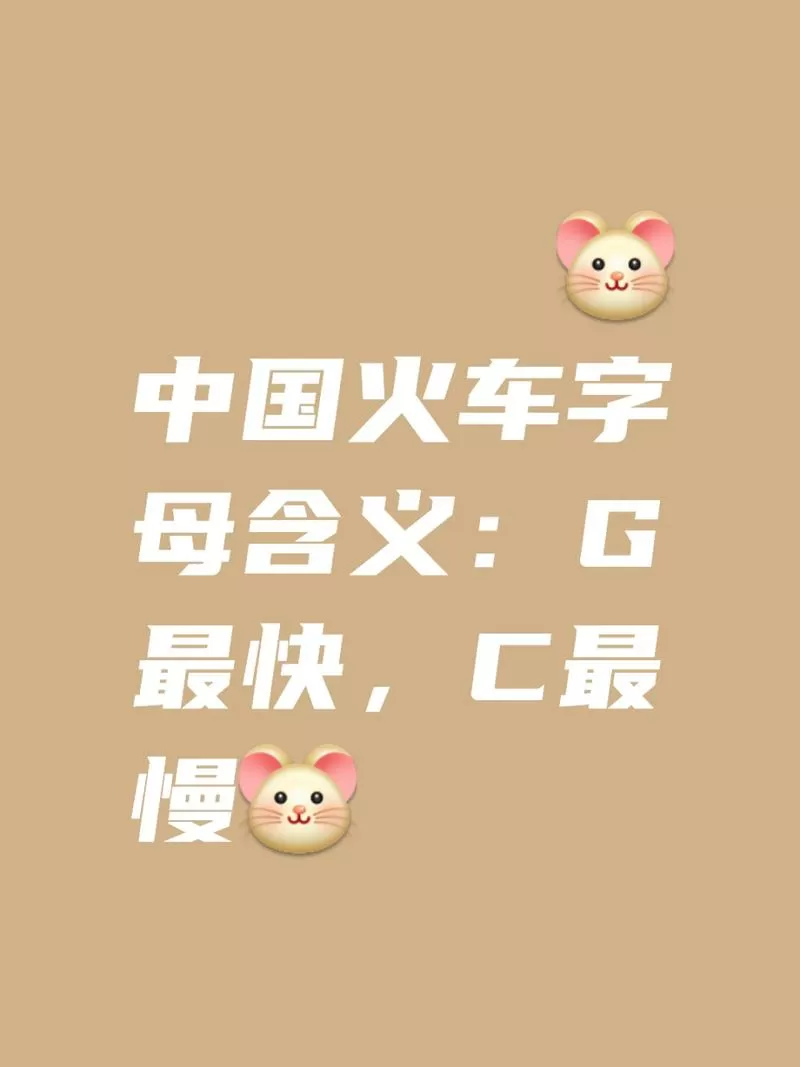 火车G Z T K C开头的什么区别