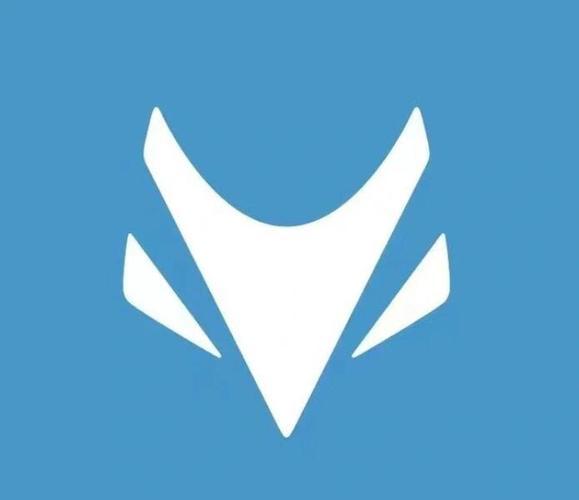 极狐加速器手机版下载安装