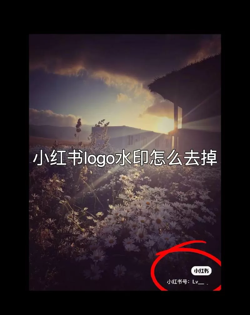 已经发布的小红书怎么修改