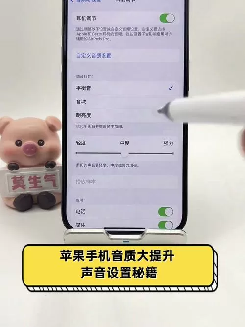 苹果手机的声音在哪里设置