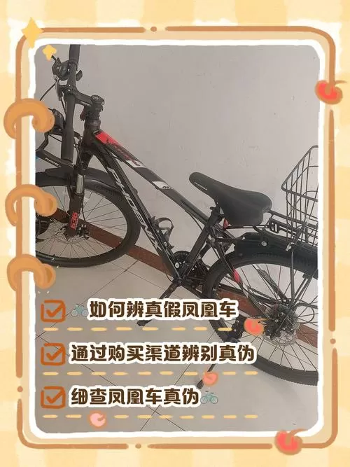 真假凤凰车标志对照图