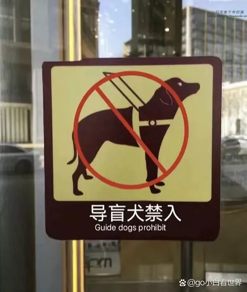 逃离痒刑诊所怎么安装
