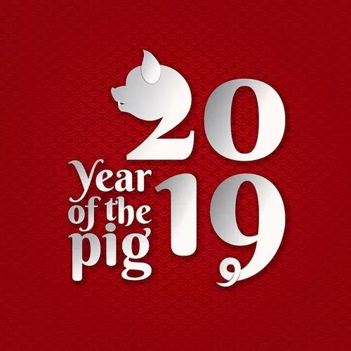 2019是什么生肖年呀