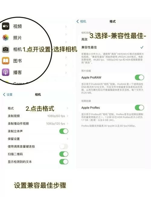 苹果11手机拍照发黄怎么调