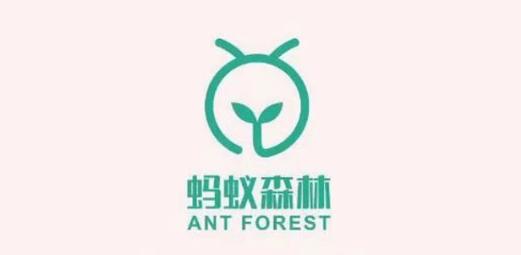 蚂蚁森林登山双人版规则