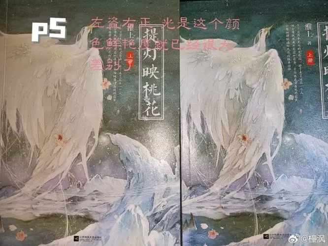 提灯映桃花于靖忠女儿哪来的