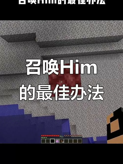 召唤him的指令截图