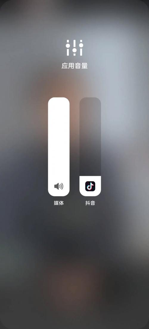 抖音不能调节音量