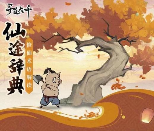 98782你会修仙吗14