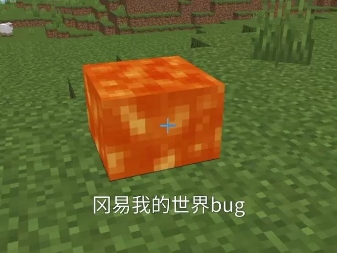 我的世界岩浆方块