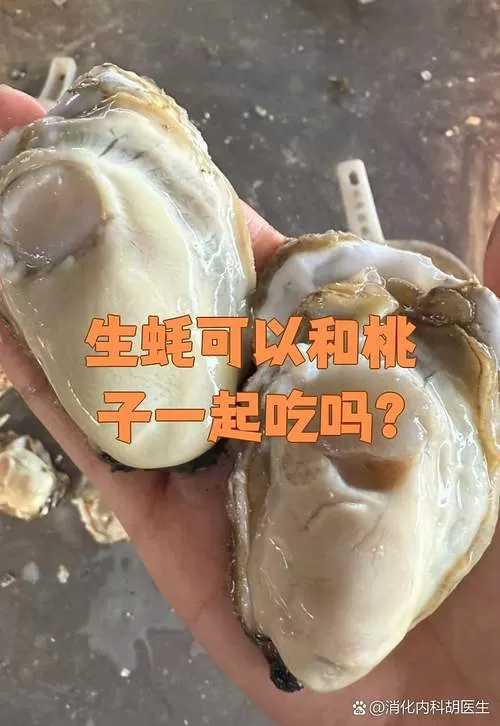 生蚝和桃子可以一起吃吗