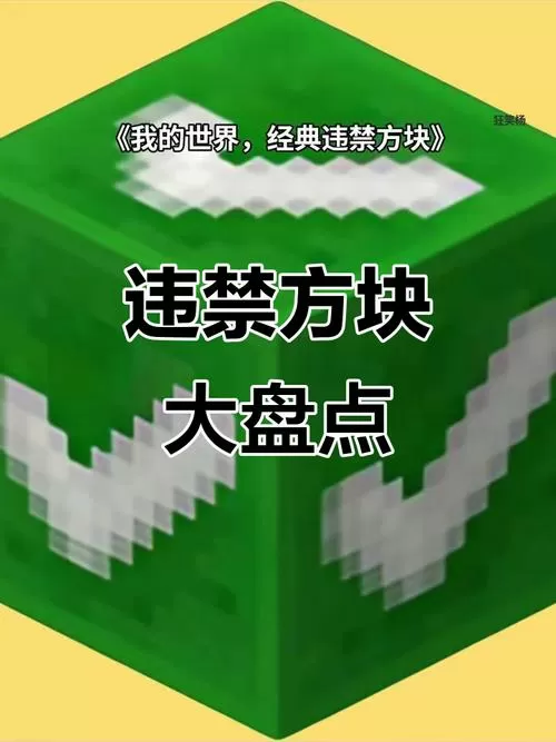 我的世界24种违禁方块