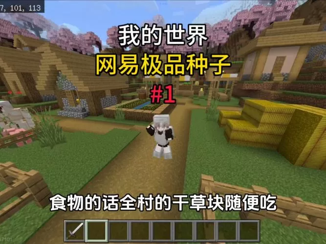 我的世界十大稀有种子网易版