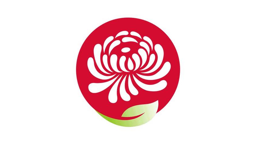 美人菊寓意