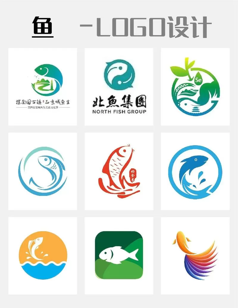 十大最好养的海水鱼