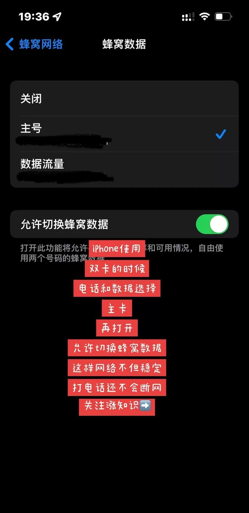 苹果双卡如何关闭一个卡的流量