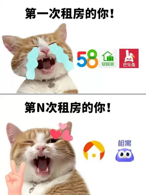 日本租老婆包括生孩子吗