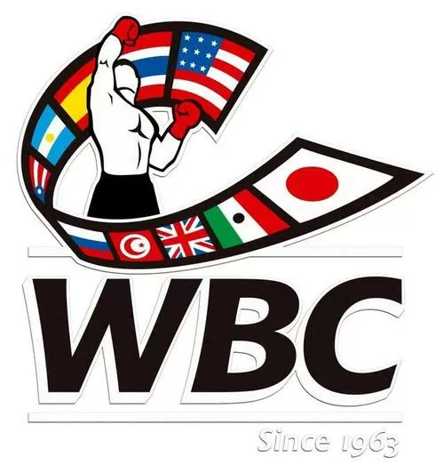 tlbc拳击