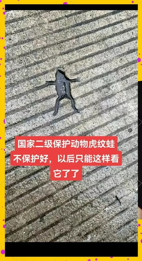 杀一只虎纹蛙判几年