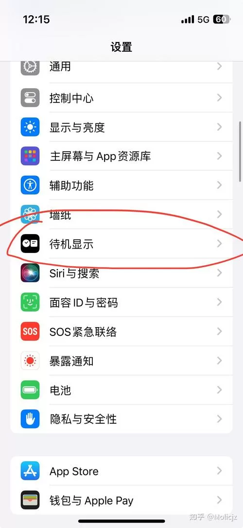 苹果17待机显示怎么关闭