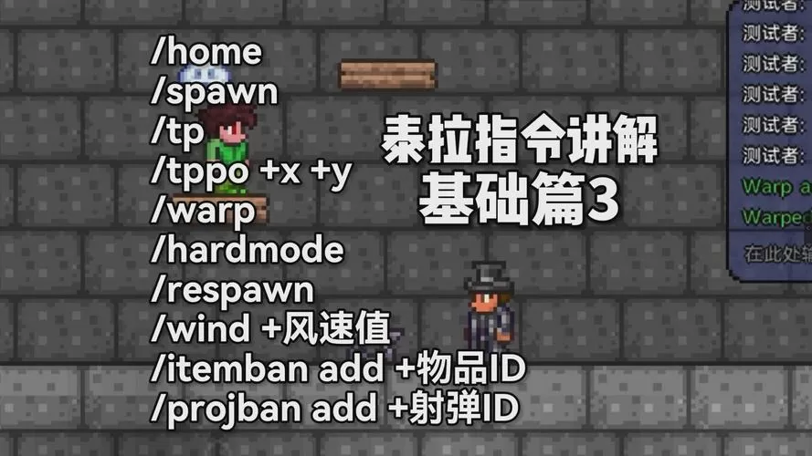 steam泰拉瑞亚怎么用指令
