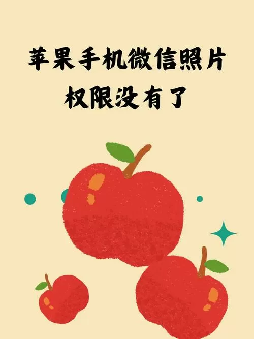 苹果手机微信所有照片选项没有了截图