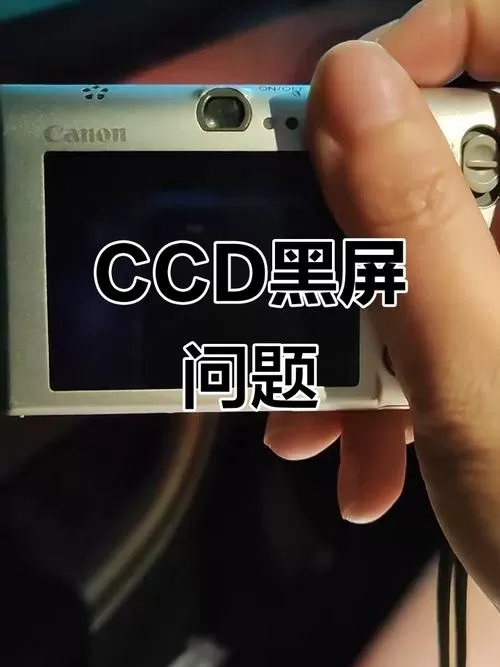 相机为什么黑屏