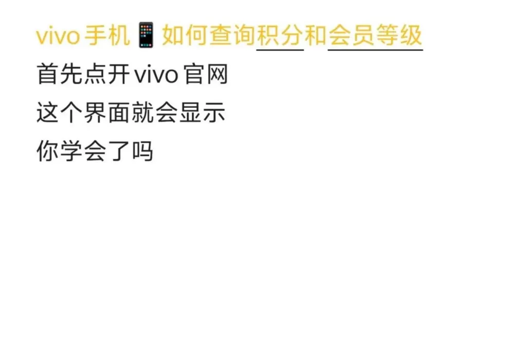 vivo会员等级掉了怎么办