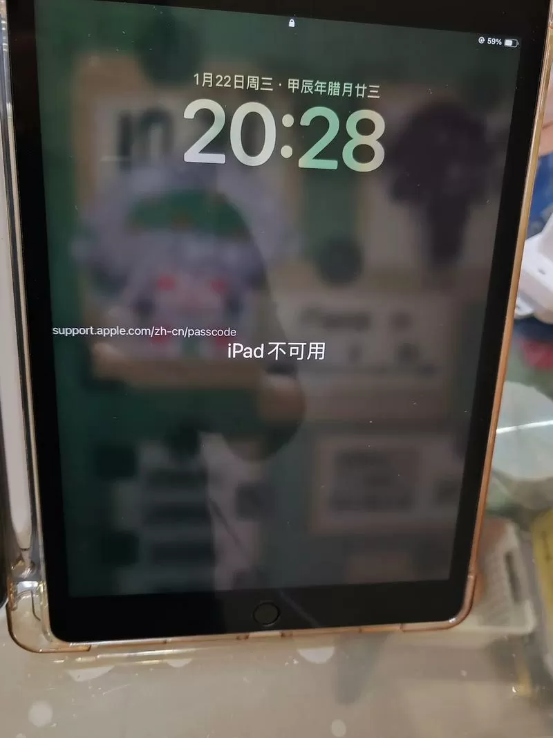 ipad语音播报无法解锁