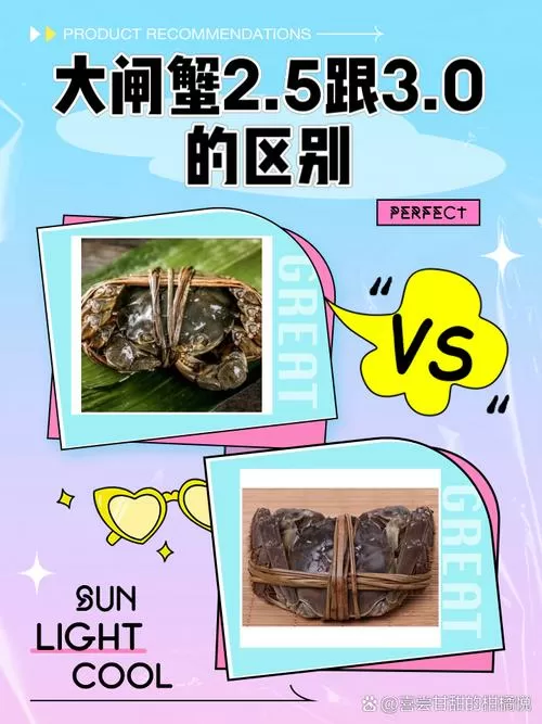 螃蟹3.0和2.5的区别