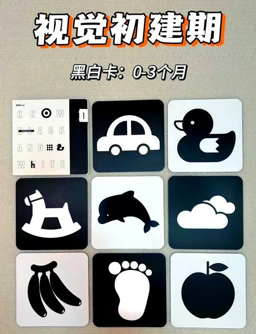 卡纸的隐藏用法大全