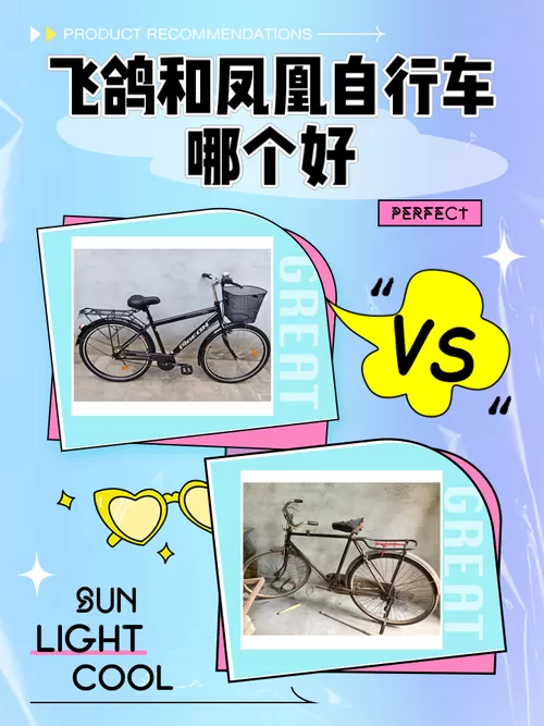飞鸽自行车好还是凤凰自行车好截图