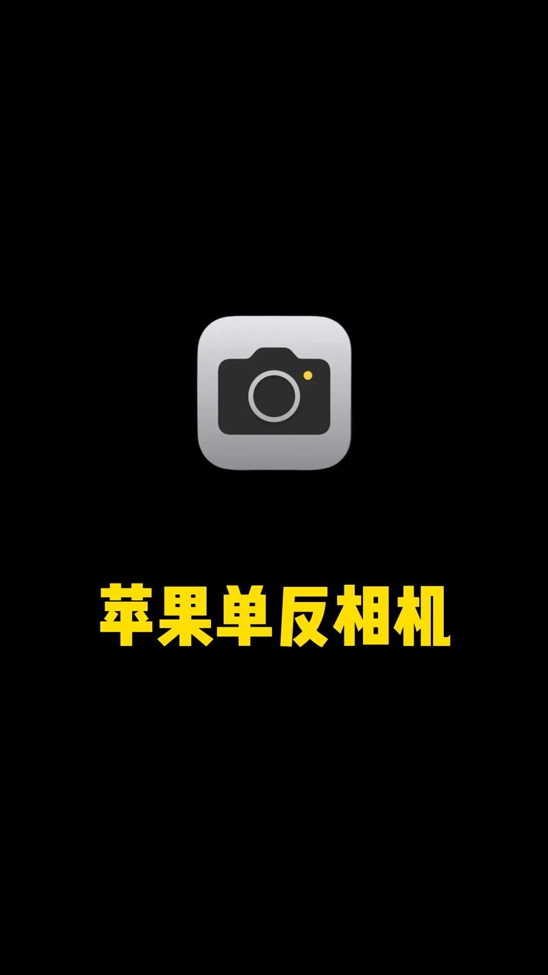 苹果相机前置反向