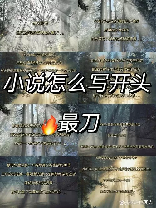 起点小说怎么退出登录