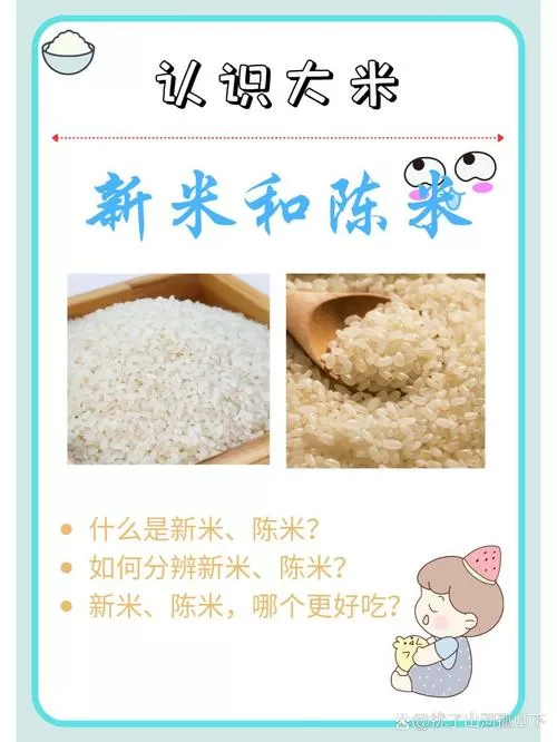 陈米好还是新米好截图