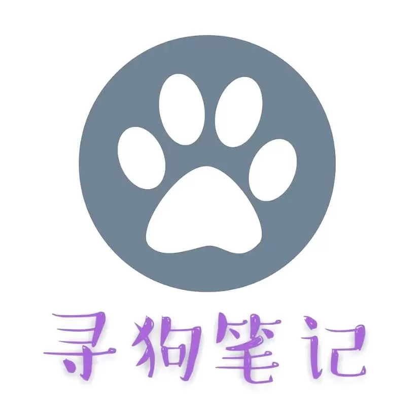 走失小说