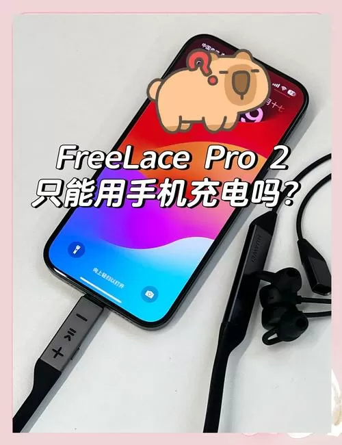 手机把耳机识别成usb