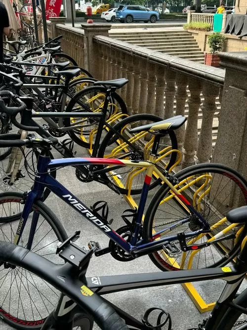 泸州二手自行车交易市场截图