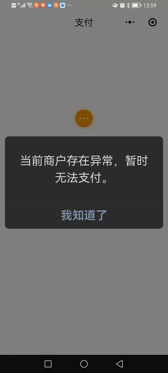 所有支付服务无法使用什么意思