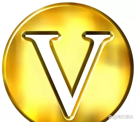 支付宝好友头像有个v