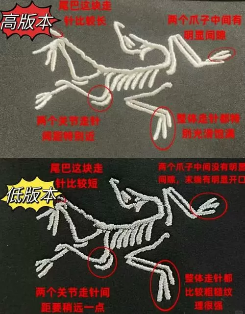 火红闪电鸟怎么抓截图