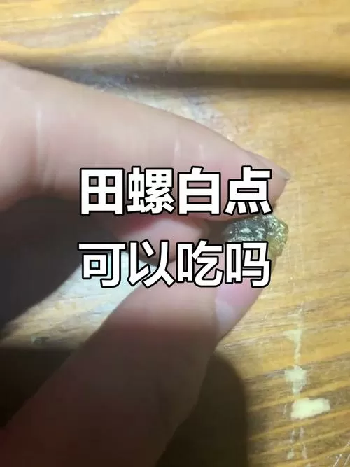 田螺里面的小颗粒可以吃吗