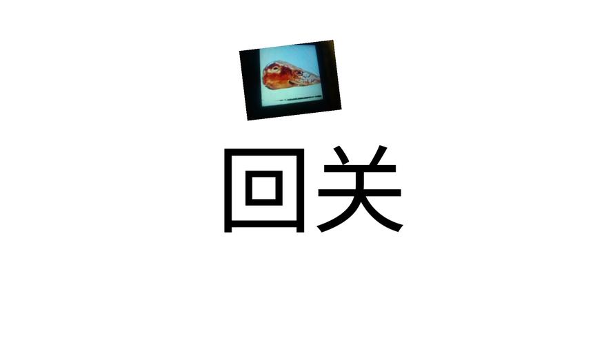 对方回关了是喜欢吗