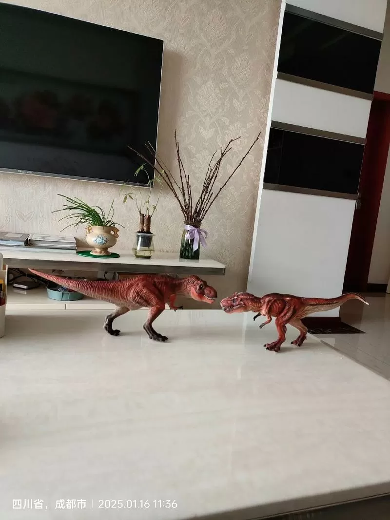 霸王龙和特暴龙的区别截图