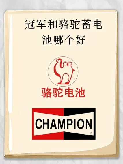 电池91属于什么档次
